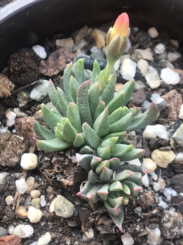 B1D8DCA7-371A-4C81-8446-B524F4372373