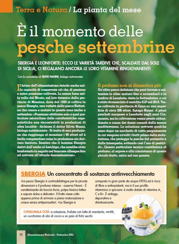 Alim Nat Set 2021 (9)