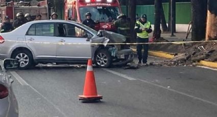 Trágico accidente: Mujer fallece tras estrellar su vehículo contra un árbol; murió al instante