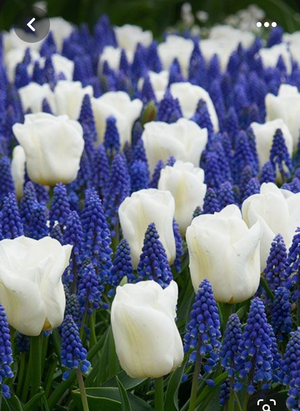 Screenshot_20230802_004040_Pinterest