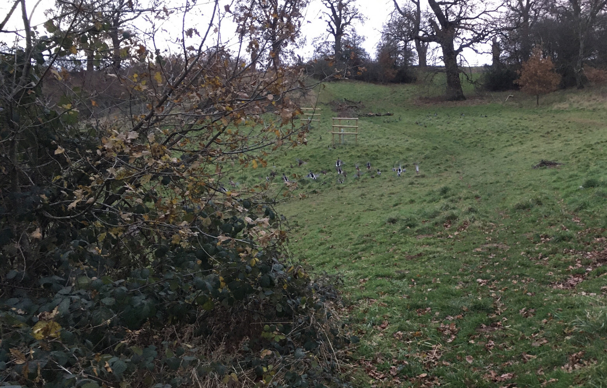 83137A1B-7E51-4C27-9283-A9CC097E5FFE