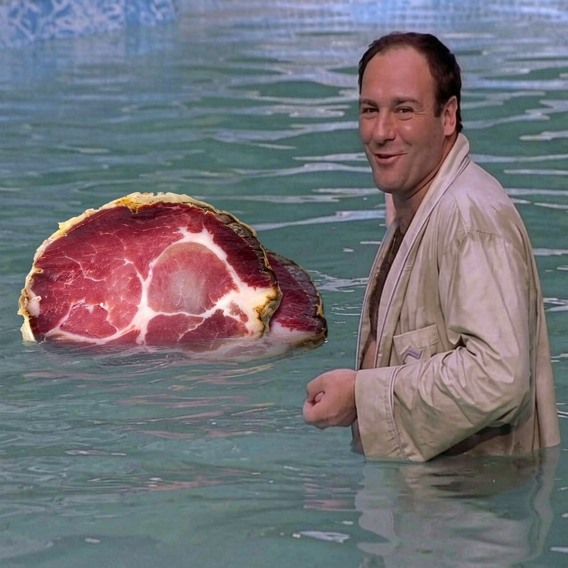 gabagool in the pool meme