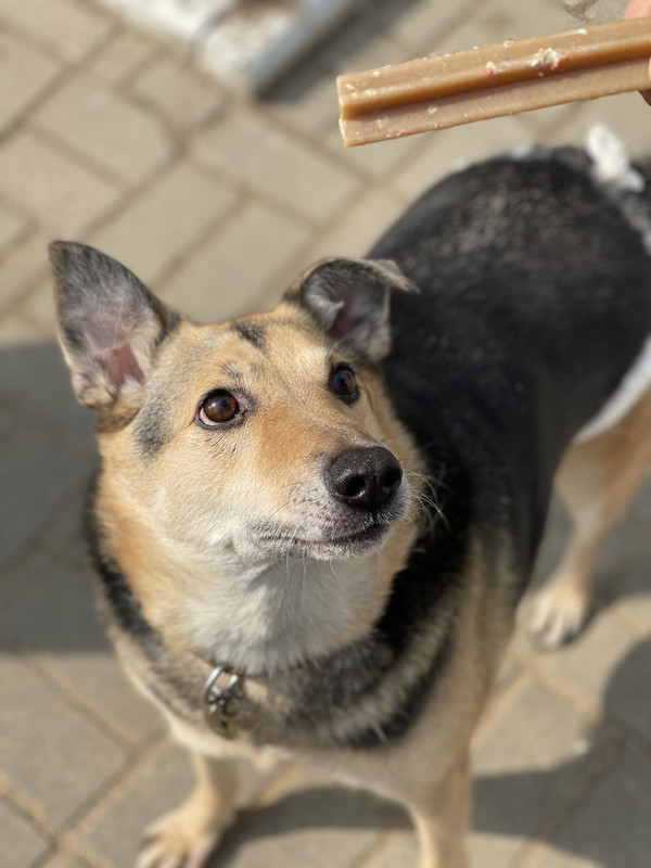 798A5181-6E47-4D69-AD89-A50B3E1B61E3