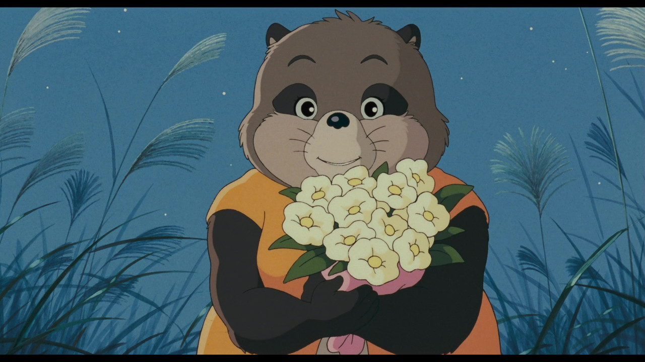 vlcsnap-2025-01-20-15h58m04s487