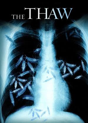 17706547970988581933314609388950