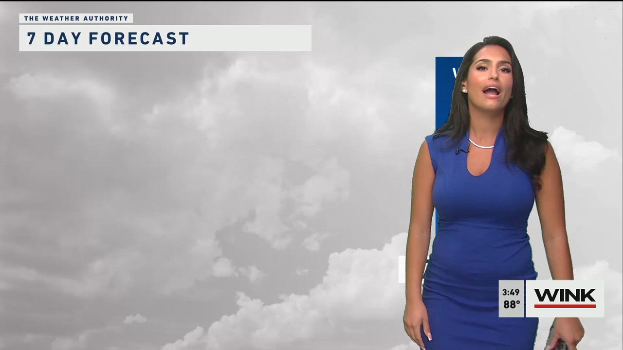 05.24 - 20.00.00 - WINK News at 3 00 p.m._001.ts_snapshot_02.08.196