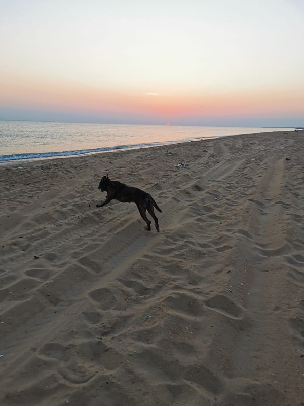 WhatsApp Image 2022-09-02 at 08.35.27 (1)