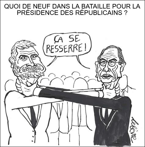 text alternatif