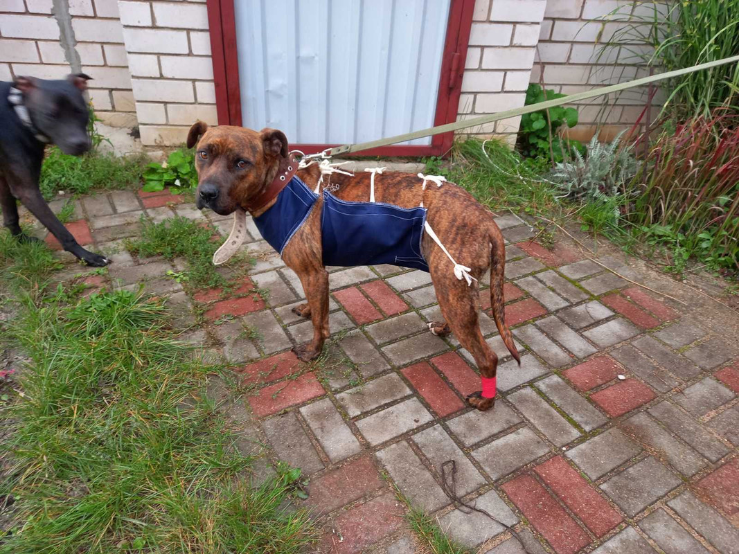 23B9595C-67B1-4E54-9D0E-16B697107E8C