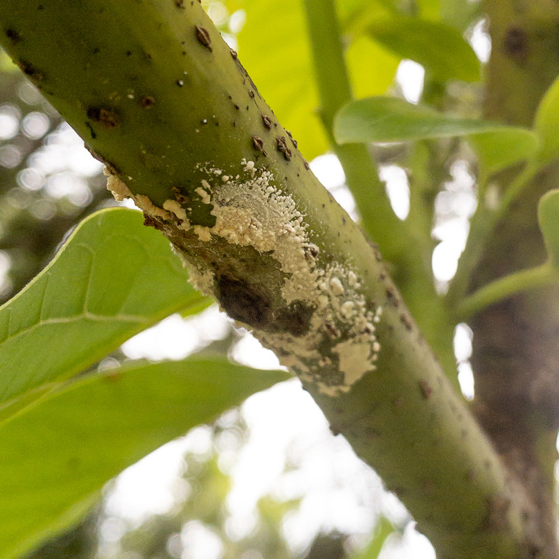 39705BEE-3702-454D-AEB9-3194BB05DFBA