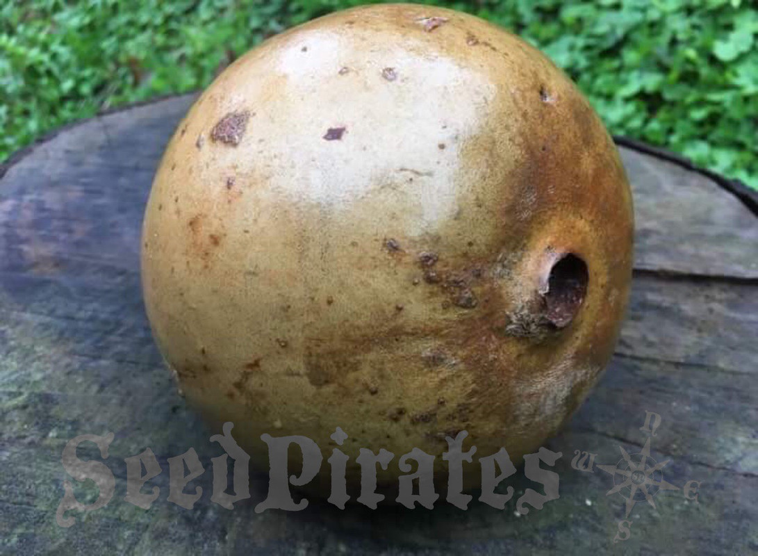 0EAE447C-CD1A-4B63-A226-F31D07CFFEC7