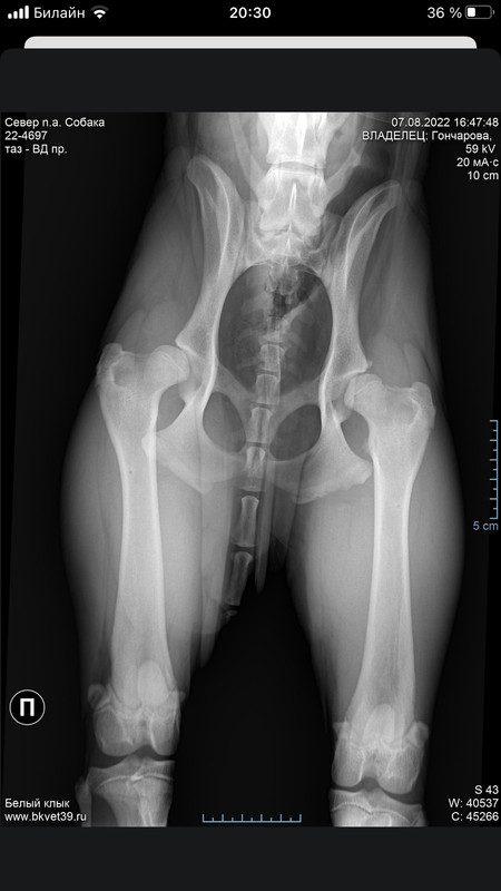 1BECD1AC-E0CE-407F-80DB-41755D47DE70