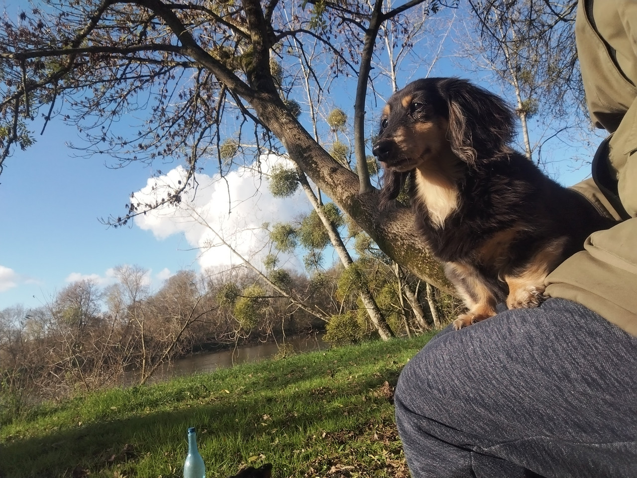 [Image: IMG-20260107-174516.jpg]