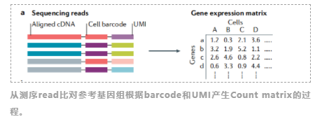 高维单细胞RNA测序数据分析工具-2.png