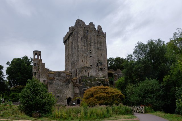 10 días por Irlanda en verano de 2024 - Blogs de Irlanda - DÍA 5 – Castillo Blarney – Parque Nacional Killarney (1)