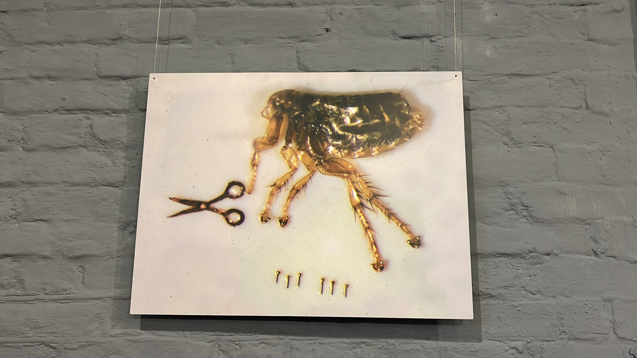 FADE1F75-7733-4C79-8F02-A451CC3A0D33