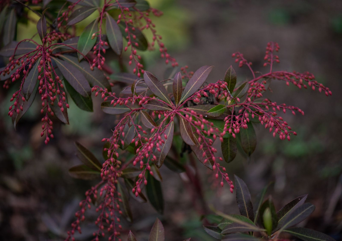 IMG-2b1e2985440b426a565db5ff6794bb4f-V