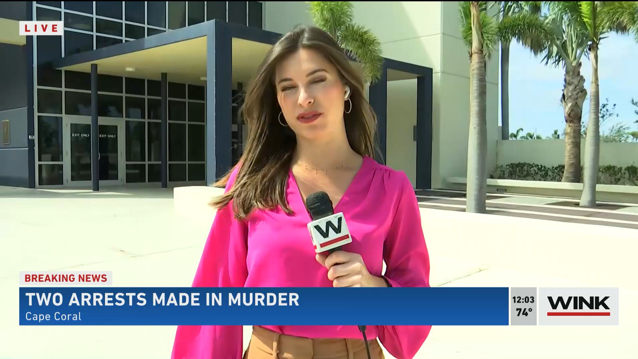 03.14 - 16.00.00 - The WINK Noon News  ᴺᵉʷ. Midday news update..ts_snapshot_09.50.573
