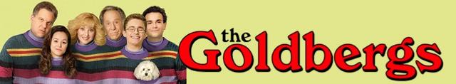 The Goldbergs 2013 S06e19 Eight Bit Goldbergs 720p Amzn Web Dl Ddp5 1 H 264 Ntb