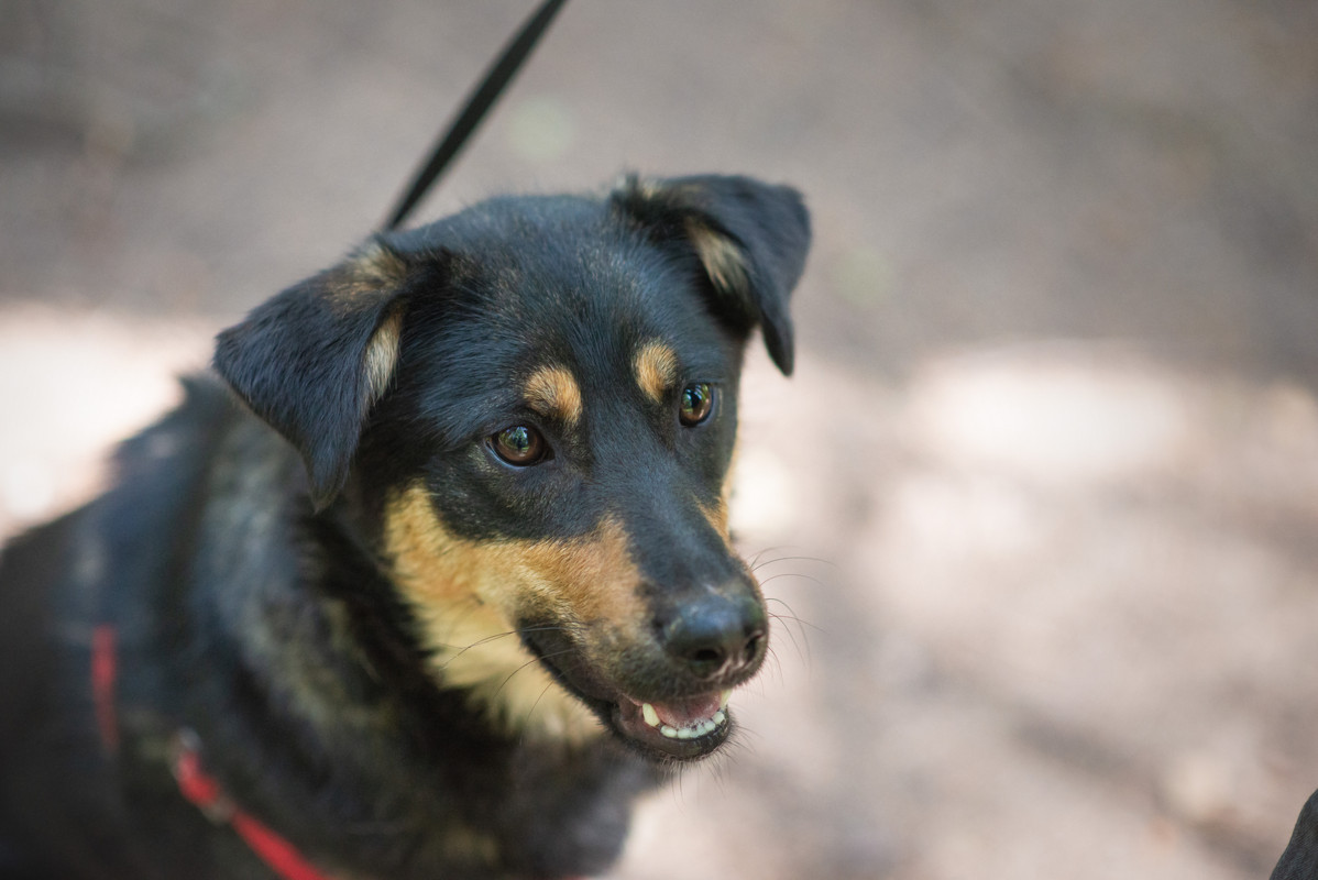 610_0652_витебск