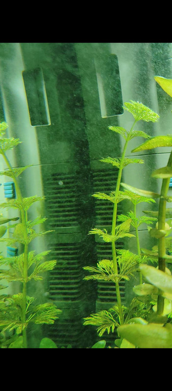 Screenshot 2025 12 08 20 57 55 506 com miui mediaviewer