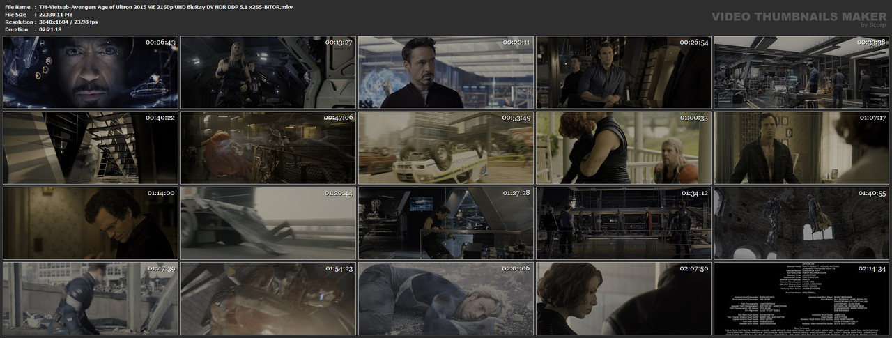 TM-Vietsub-Avengers-Age-of-Ultron-2015-Vi-E-2160p-UHD-Blu-Ray-DV-HDR-DDP-5-1-x265-Bi-TOR-mkv.jpg