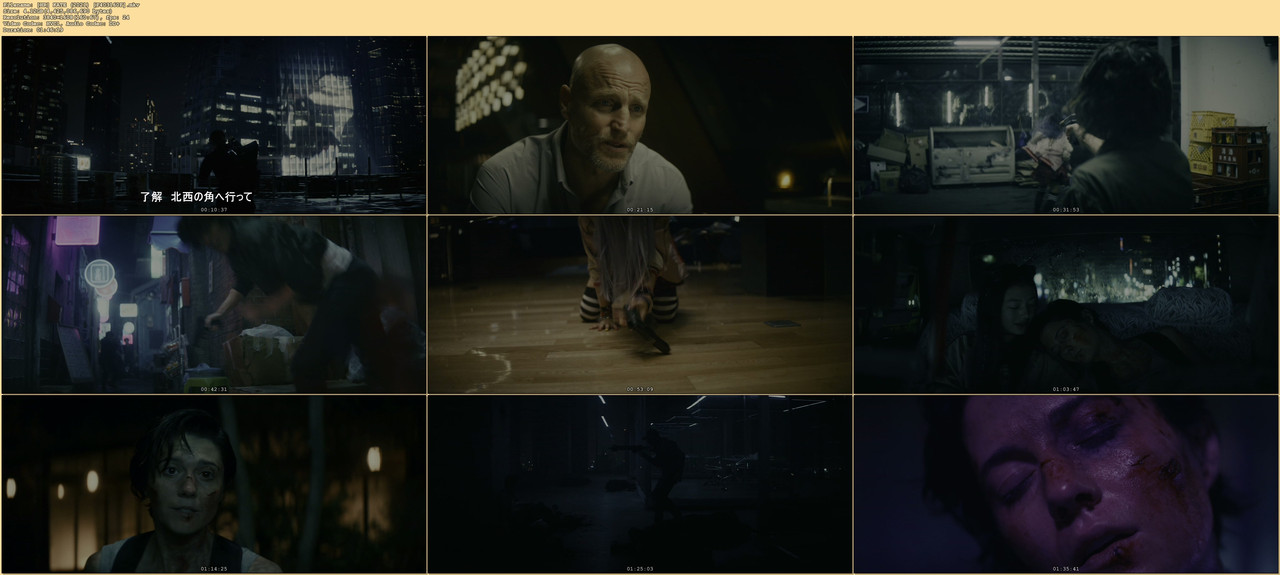 [HR] KATE (2021) [F403160F].mkv