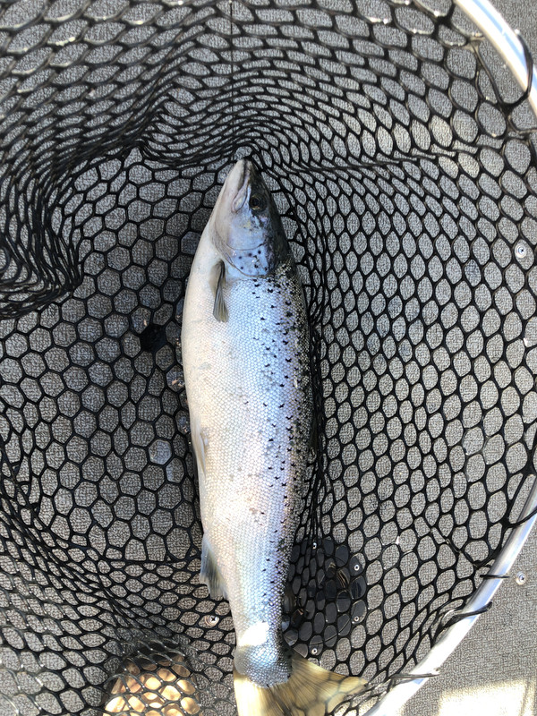 E8F5863D-93D7-4A22-9C7D-5113BF79271D