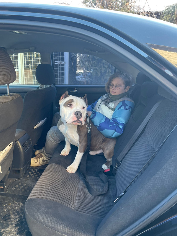 8827B22E-4616-4A26-9A3F-5570FA984A03