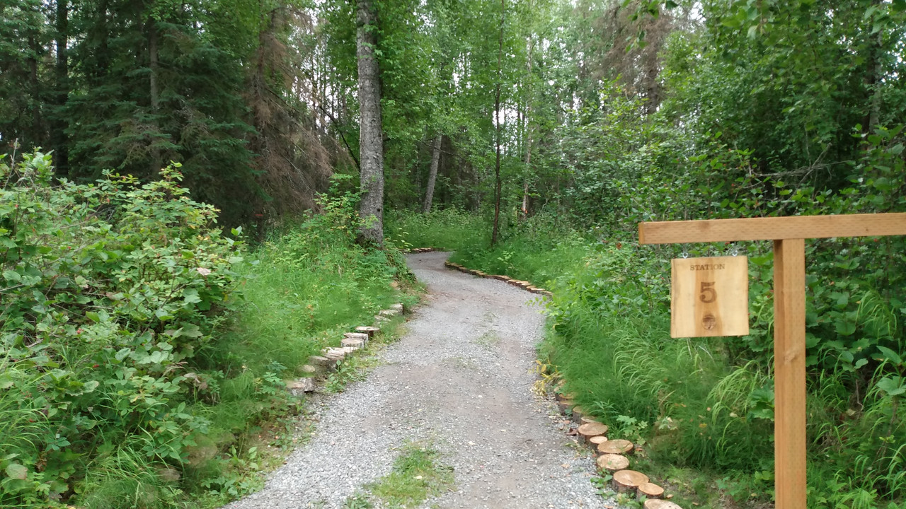 Birchwood Alaska pictures and review Shotgun Forum