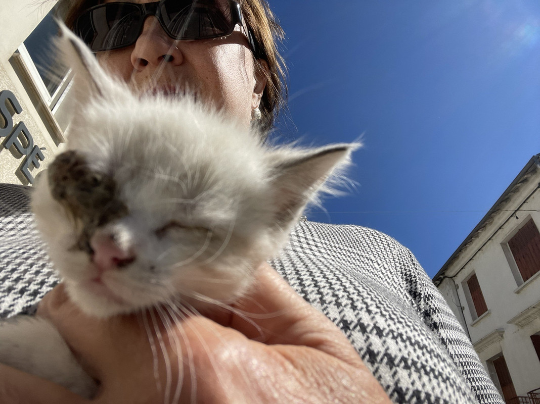 0AB93B00-2D13-4198-AEE1-C5DA3EF5211C