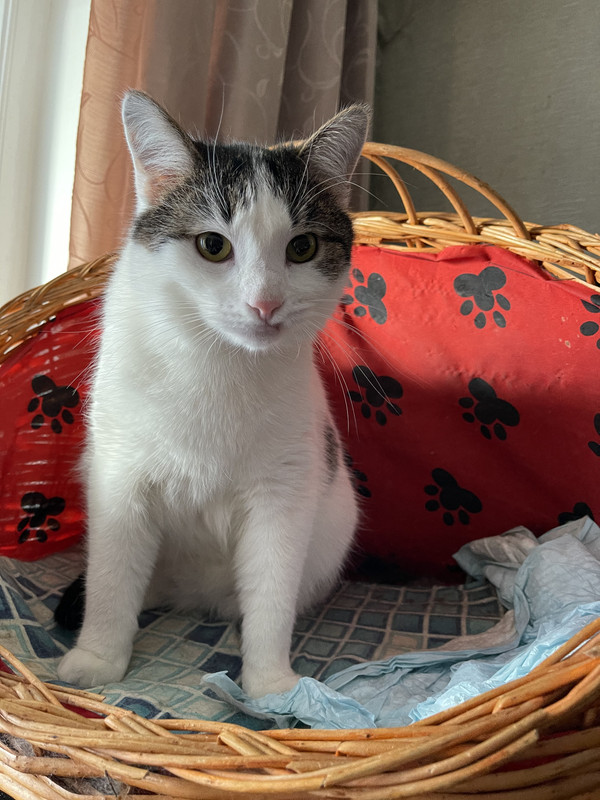 DF703C23-5200-4A9E-BA06-79D4E7659C7C