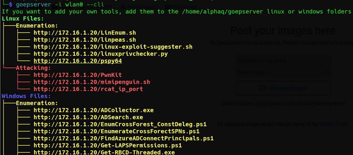 GoEPServer CLI Interface