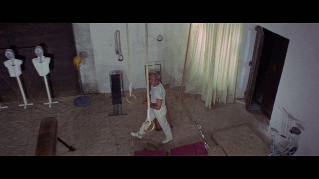 vlcsnap-2024-02-25-23h46m30s719