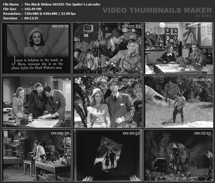 The Black Widow S01E05 The Spider's Lair.mkv