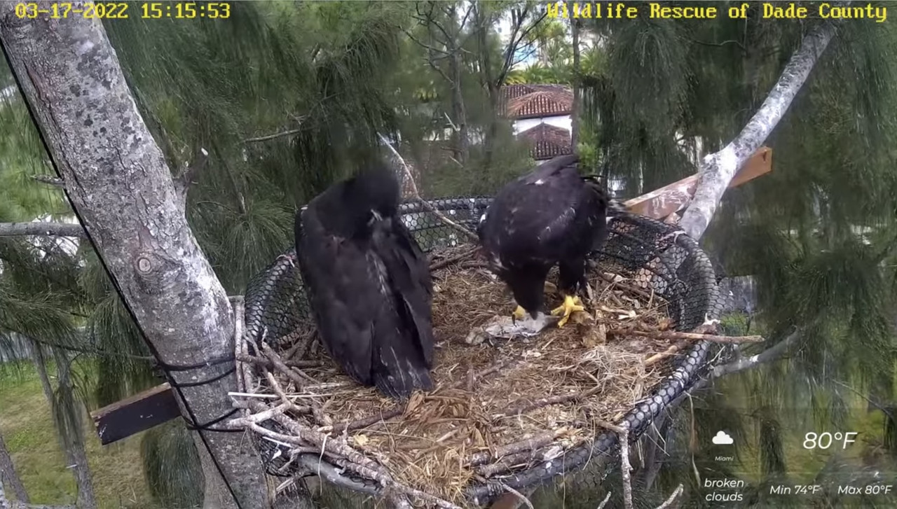 DFC86E1F-4CE0-48C7-A1B2-427AC7F7FFA2