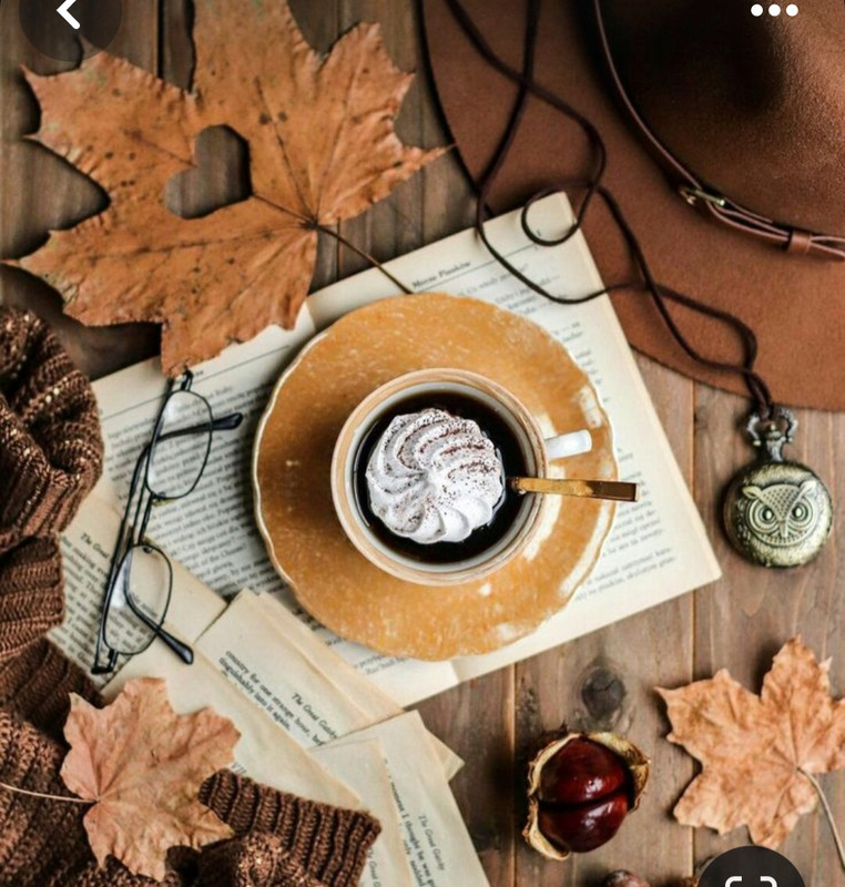 Screenshot_20231110_230209_Pinterest