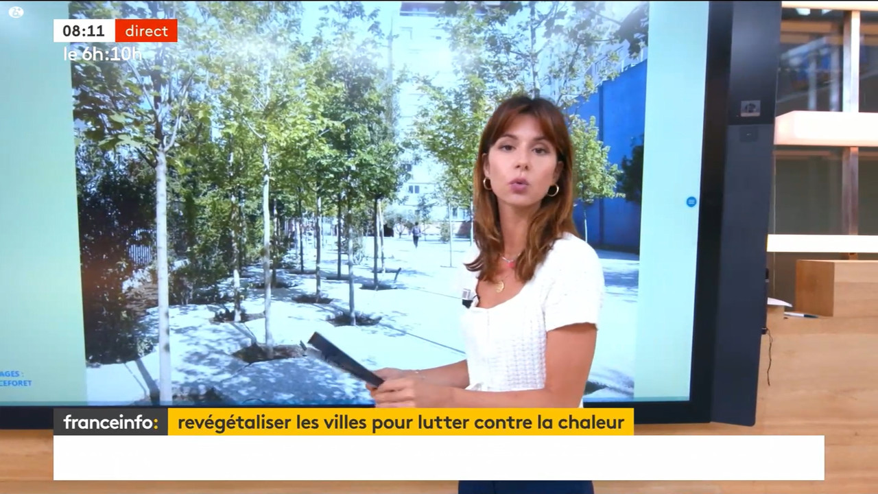 08.01 - 10.27.00 - Franceinfo  et tout est plus clair. Pas de descrip....ts_snapshot_12.03.260