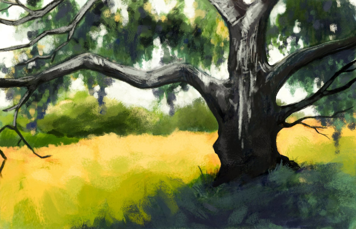 18 Дерево в тени