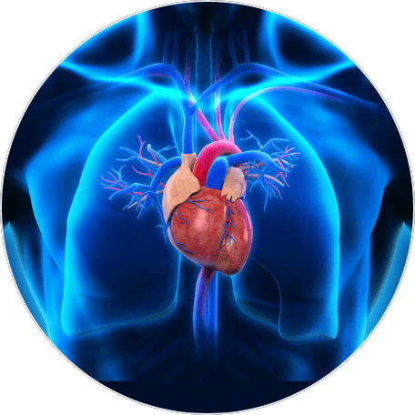  Inflammation-Relief Aid, Lung & Heart Health