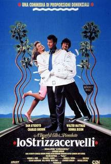 Lo strizzacervelli (1988).mkv BDRip 1080p x264 AC3 iTA-ENG
