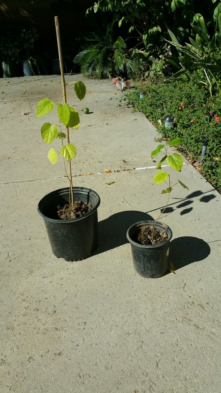 2015-11-03 10.29.07