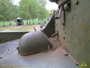 IMG-2930