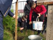 0-02-05-0a3e7e3fdafe9edb3a3a3fb893fce6f63fede260b52cc7a6df2e26cc21a015df_9fa4263b