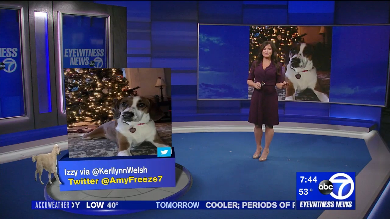 12.13 - 11.00.00 - Eyewitness News Sunday Morning..ts_snapshot_00.46.06.954