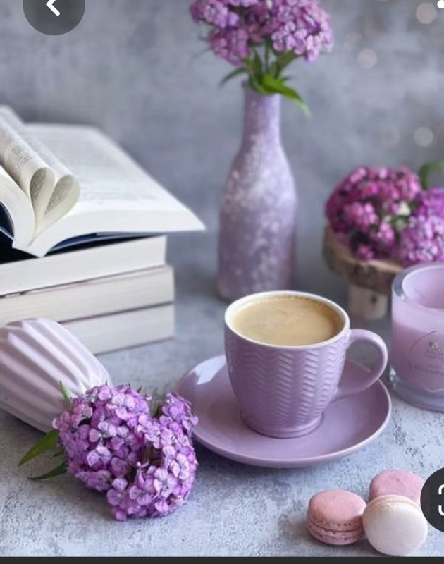 Screenshot_20230315_232420_Pinterest