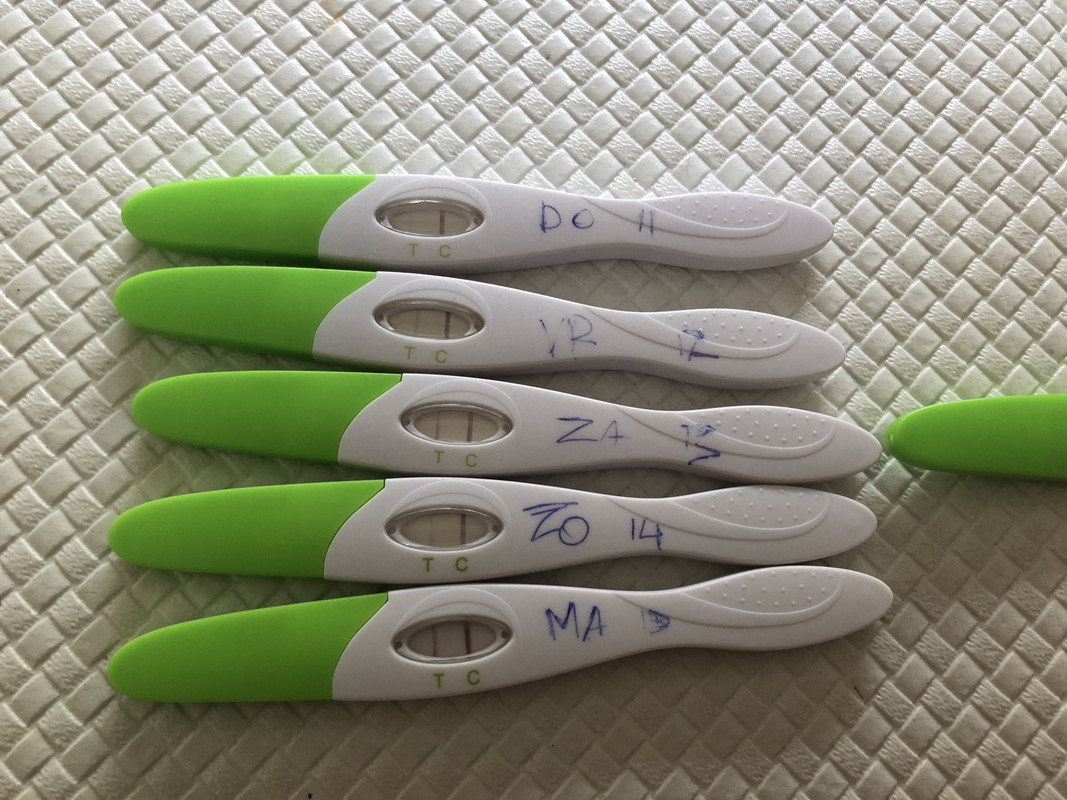 0CC21988-3EBC-44AD-9497-F7D2FFEA2D07