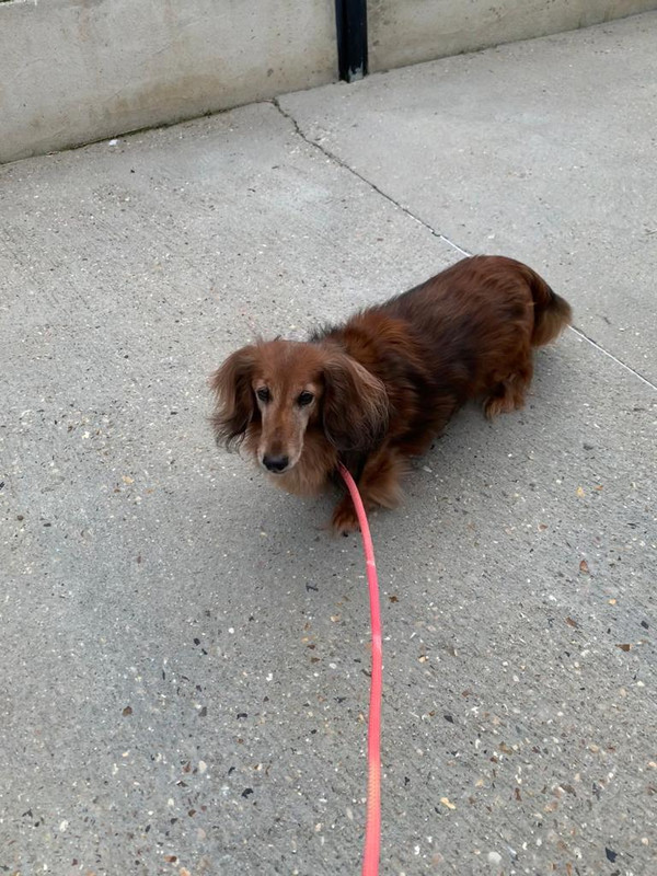 [Image: IMG-20230630-WA0010.jpg]