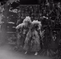 IMG-8146.gif
