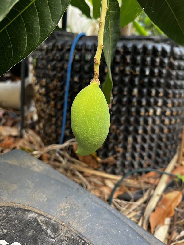 CDCBC2BF-DA06-4647-BB4F-A8F24B95E2C8